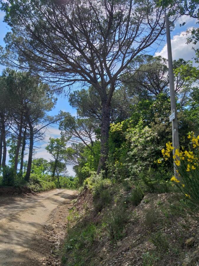 מנזר פסיגנאנו Chiantivillas Poggio A Vento מראה חיצוני תמונה
